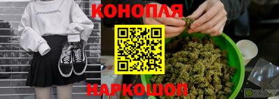 ГАЛЛЮЦИНОГЕННЫЕ ГРИБЫ Пугачёв