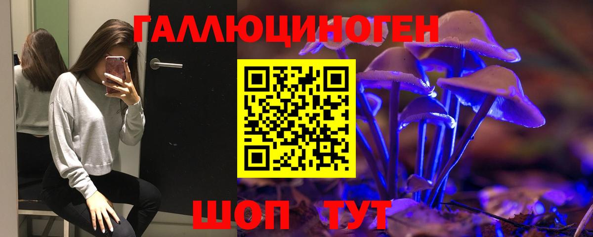 Спасск-Дальний  Псилоцибиновые грибы GOLDEN TEACHER  Вход с VPN 